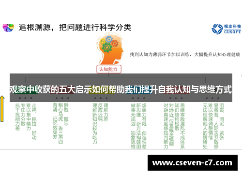 观察中收获的五大启示如何帮助我们提升自我认知与思维方式