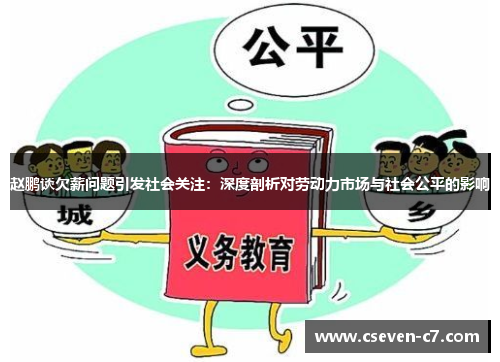 赵鹏谈欠薪问题引发社会关注：深度剖析对劳动力市场与社会公平的影响