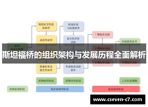 斯坦福桥的组织架构与发展历程全面解析